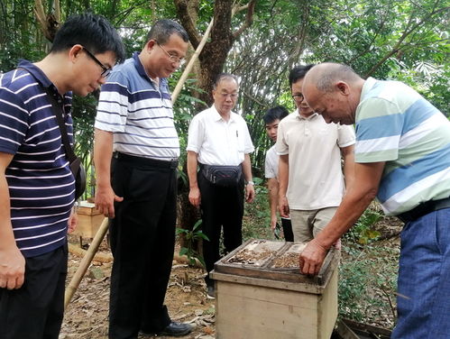 玉林市农业农村局举办2021年玉林市养蜂技术培训班